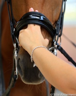 The two finger rule, according to the German guidelines, for how nosebands should be checked for tightness :: Photo © Silke Rottermann