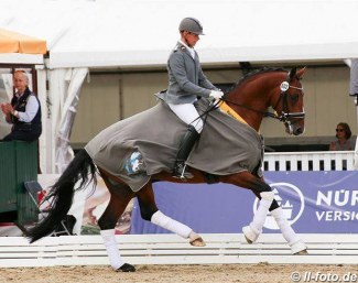 Mike Habermann and Labbadio at the 2018 Hanoverian Young Horse Championships in Verden :: Photo © LL-foto