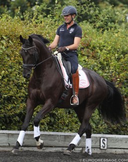 Fortuny (by Furstenball x Grafenfels x Ludendorff)