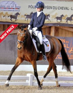 Day Dream (by Leandros Sirik x Deinhard B)