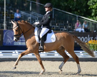 FS Diego de la Vega, silver medalist at the 2018 Bundeschampionate :: Photo © Mirka Nilkens