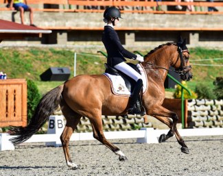 Don't Dream WE at the 2017 European Pony Championships :: Photo © Lukasz Kowalski