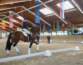 Oldenburg Winter Meeting, an Educational Tour :: Photo © Jan Reumann