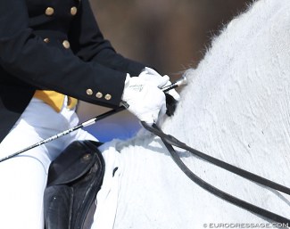 Rider's hands :: Photo © Astrid Appels