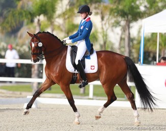 Don Crusoe at the 2016 European Junior/Young Rider Championships :: Photo © Astrid Appels