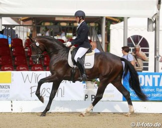 Q-Sieben at the 2018 Oldenburg Young Horse Championships in Rastede :: Photo © LL-foto