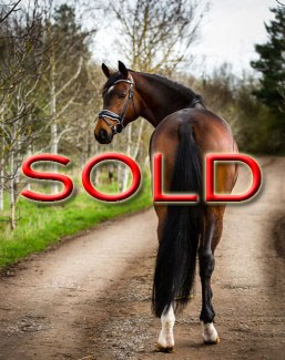 SOLD SOLD SOLD