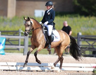 Ashen Dew Drop at the 2015 European Pony Championships :: Photo © Astrid Appels