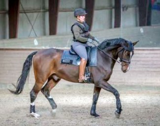 Danish Rider Weight Study Completed :: Photo © Katja Ahrenfeldt