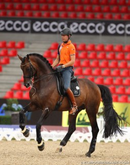 Hans Peter Minderhoud schooling Romanov at the 2013 European Dressage Championships in Herning :: Photo © Astrid Appels