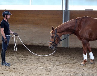 Warwick McLean training a young horse :: Photo © Astrid Appels