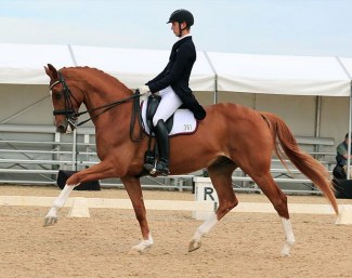 Development B squad rider Riley Alexander on MI Sirtainly Sir :: Photo © Stephen Mowbray