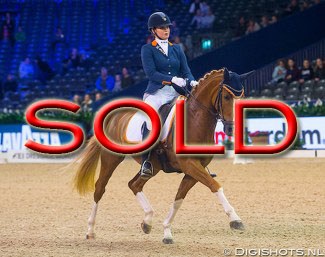 SOLD - Reedborder Amazing :: Photo © Digishots