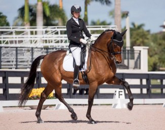 Nexolia Dressage's Glenn S&S competing in Wellington, Florida