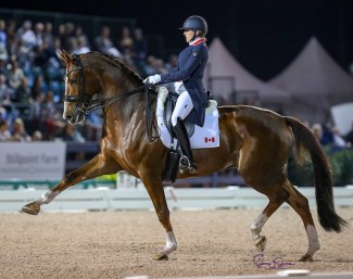 An almost five month pregnant Brittany Fraser-Beaulieu on All In at the 2019 CDI 5* Wellington :: Photo © Sue Stickle