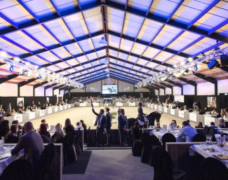 Excellent Dressage Sales in Hooge Mierde, The Netherlands
