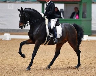 GB Rubis du Perchet CH