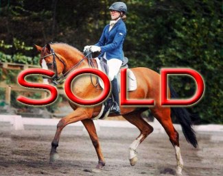 SOLD SOLD SOLD