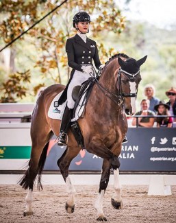 Jemma Heran and Hedelunds Mefisto at the 2019 CDI Bawley Point :: Photo © Stephen Mowbray