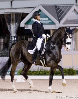 Masanao Takahasi and Eaton H at the 2019 CDI-W Wellington :: Photo © Lily Forado