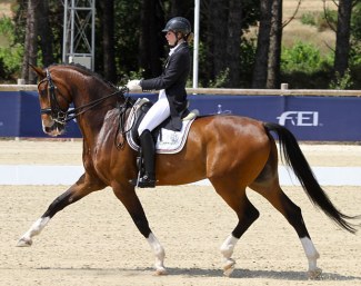 Leopold (by Laudabilis x Argentinus)