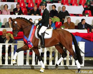 Fynch Hatton, price highlight of the 2019 Oldenburg Elite Auction in Vechta :: Photo © LL-foto
