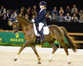 FEI Dressage Pony for Sale: Campsterhoven's Baldato