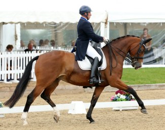 Dimaggik (by Dimaggio x Fleuri du Manoir)