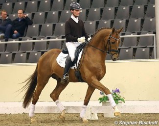 Stephan Bischoff test riding Borsalino at the performance testing in Verden in 2017 :: Photo © Stephan Bischoff