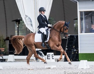 German Highlight at the 2019 CDI-W Budapest :: Photo © Lukasz Kowalski