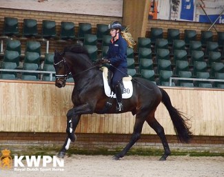 Livius (by Bordeaux x Vivaldi) at the 2019 KWPN Spring Stallion performance testing :: Photo © KWPN