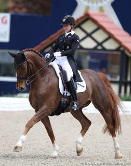 Bodyguard at the 2019 CDI Hagen :: Photo © Astrid Appels