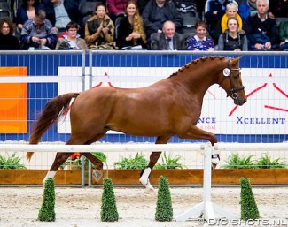 Legend (by Desperado x Ehrentusch) :: Photo © Digishots