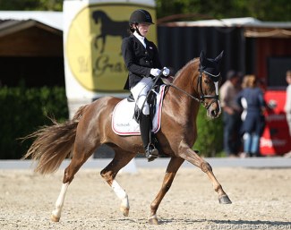 AJ Don't You Forget About Me at the 2019 CDI Sint-Truiden :: Photo © Astrid Appels