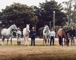 Join the team at Lusitano Masters for the 2020 Wellington show season