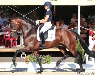 Ana Teresa Pires and About You at the 2019 Westfalian Young Horse Championships :: Photo © LL-foto
