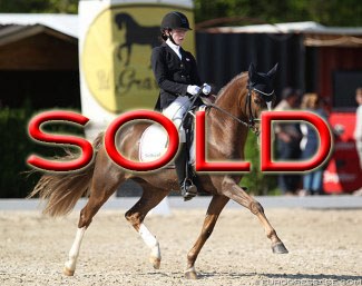 AJ Don't You Forget About Me at the 2019 CDI Sint-Truiden :: Photo © Astrid Appels