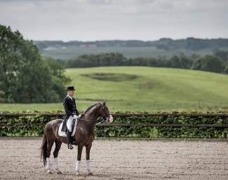 Daniel Bachmann Andersen and Blue Hors Don Olymbrio at Blue Hors Stud in Ranboel, Denmark