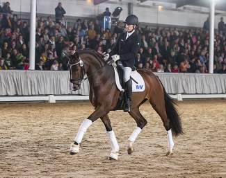 Sinfonie (by Sir Heinrich x Windspiel As) :: Photo © Guido Recki
