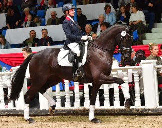 Up to Date (by San Amour x De Niro x Ponticello xxx) :: Photo © Feldhaus