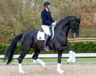 Patrik Kittel and Sezuan in November 2019 :: Photo © Tanja Becker