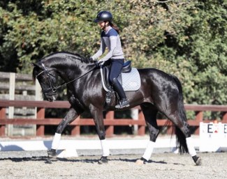 Miki Yang and Ascot de Massa at Four Winds Farm in Los Altos Hills, CA :: Photo © Joseph Newcombe