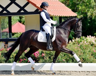 Darkozy (by De Niro x Sarkozy x Wolkentanz II)