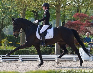 Fräulein Florence at the 2018 Preis der Besten qualifier in Kronberg :: Photo © Sina Kuiper