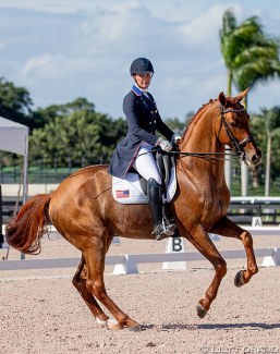 Sarah Lockman and First Apple in their first Inter II at the 2020 CDN Wellington :: Photo © Lily Forado