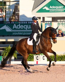 Steffen Peters and Suppenkasper at the 2020 CDI-W Wellington :: Photo © Sue Stickle