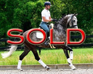 SOLD SOLD SOLD