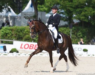 Niklaas Feilzer and Quotenkönig competing at the 2018 CDN Balve :: Photo © Barbara Schnell