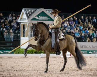 Miguel de Rooij on Brio HGF demonstrating "Doma Vaquera" during the 2020 USPRE Week :: Photo © Lily Forado
