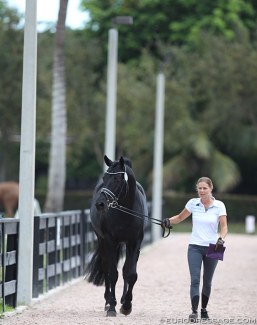 Susan Pape and Don Nobless walking towards the horse inspection at the 2020 CDI 5* Wellington :: Photo © Astrid Appels